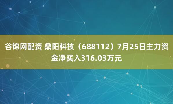 谷锦网配资 鼎阳科技(688112)7月25日主力资金净买入316.03万元