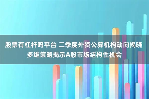 股票有杠杆吗平台 二季度外资公募机构动向揭晓 多维策略揭示A股市场结构性机会